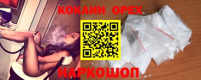 гидропоника Камышлов