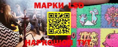 индика Кандалакша