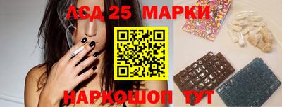 гидропоника Камышлов