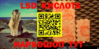 индика Кандалакша