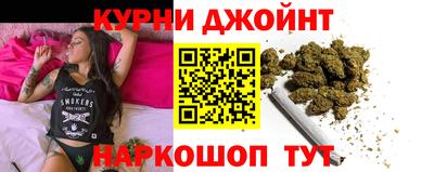 гидропоника Камышлов