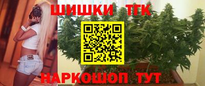 гидропоника Камышлов