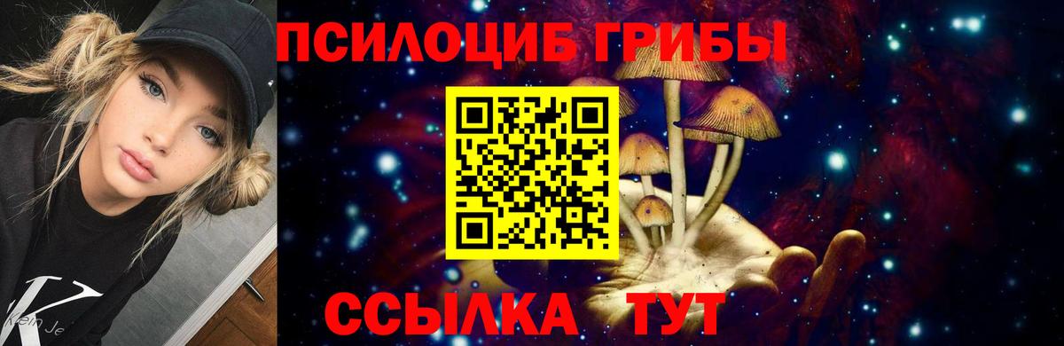 Галлюциногенные грибы прущие грибы  магазин продажи   Краснодар  Вход с VPN 